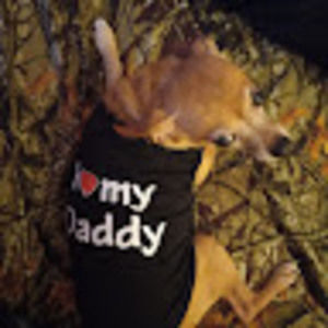 Meet your Posher, Ronald